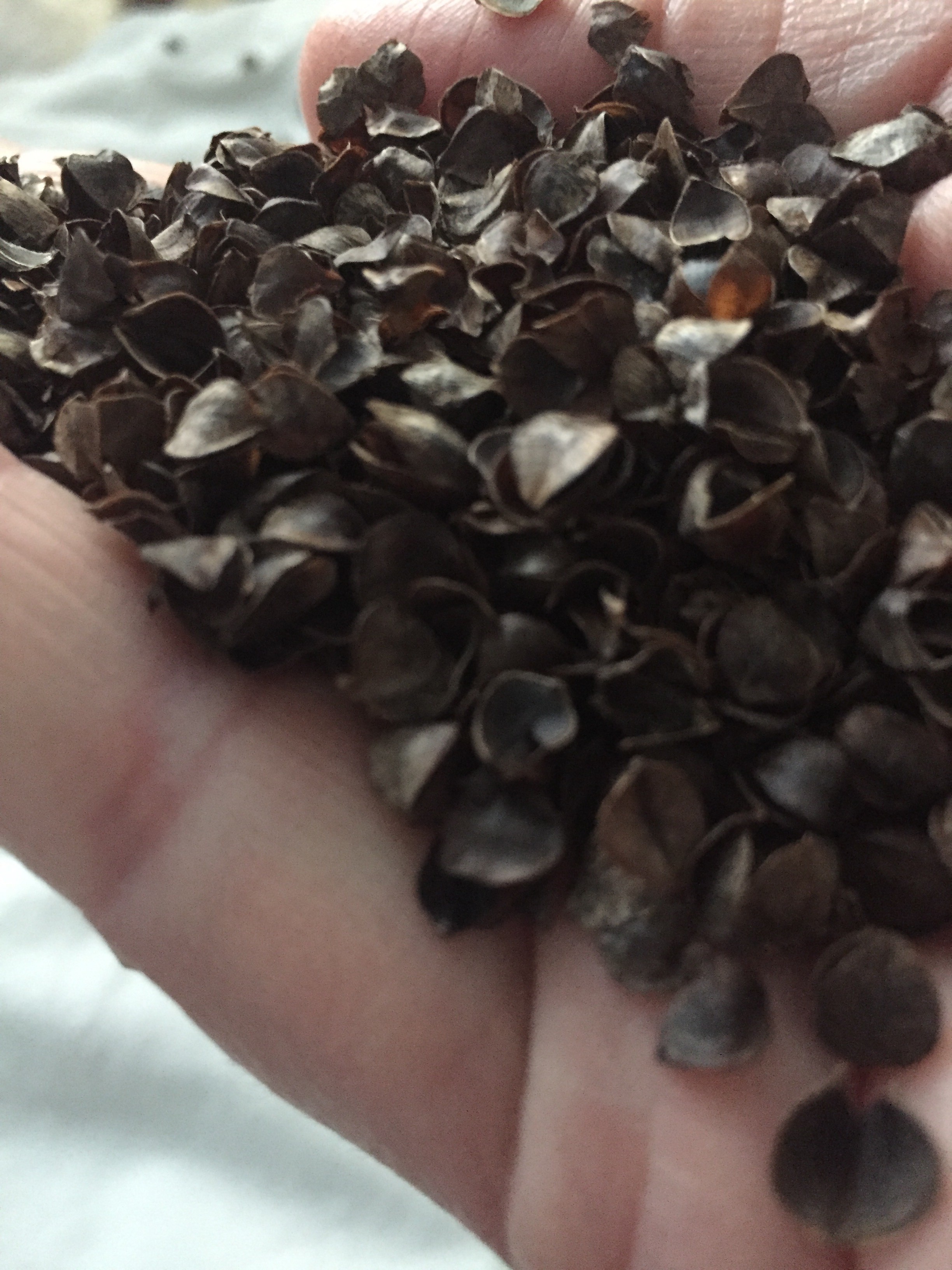 Vietämme kolmanneksen elämästämme kasvot alaspäin tyynyllä. Kehosi ansaitsee saada kahdeksan tuntia terveellistä unta joka päivä hengittämällä ilmaa ilman allergeeneja.